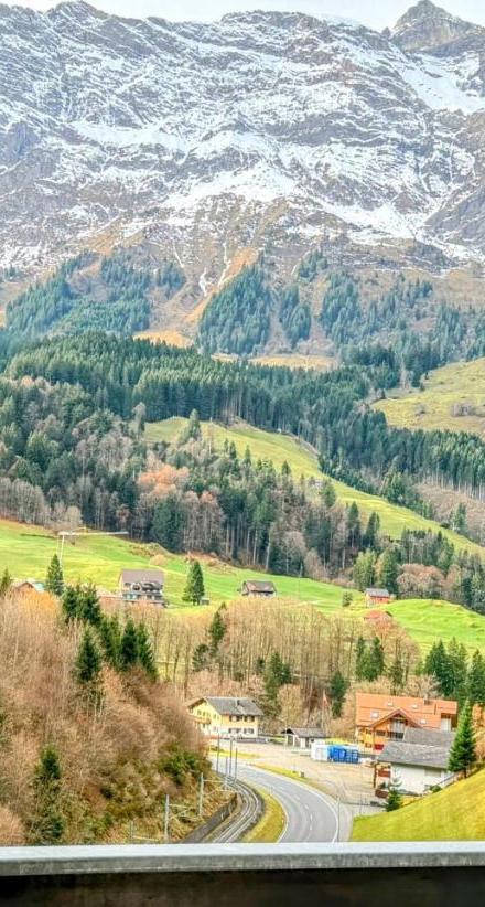 Chalet Engelberg Mountain View – billede 2