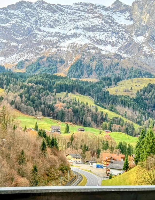 Chalet Engelberg Mountain View – billede 2