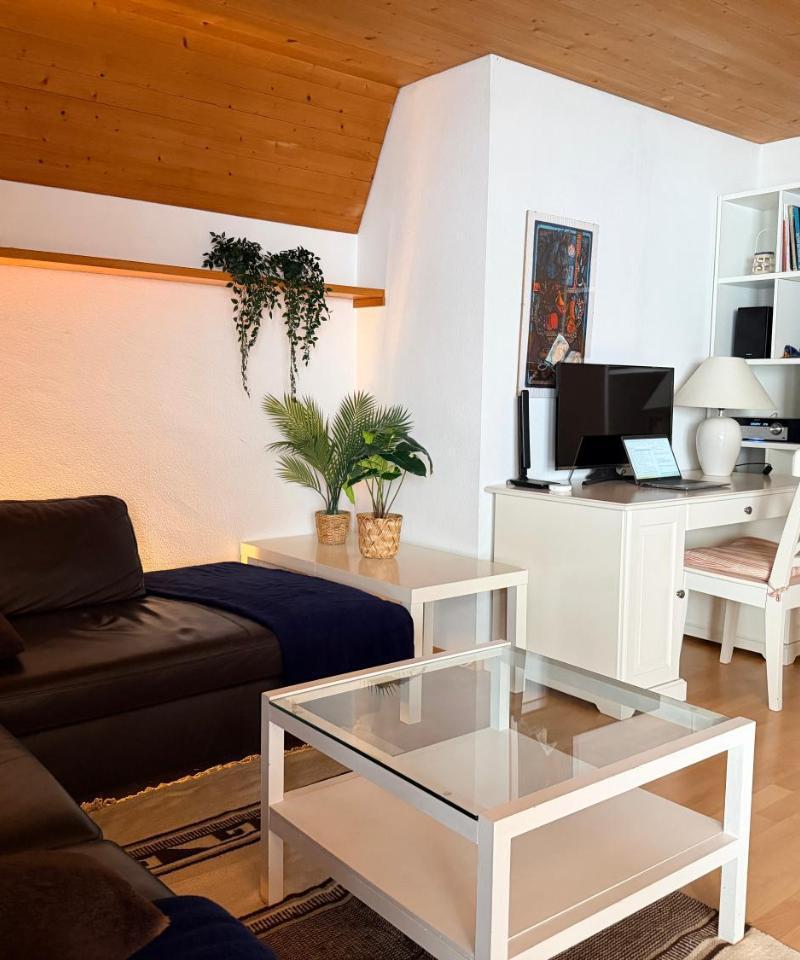 Chalet Engelberg Mountain View
