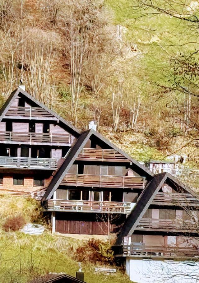 Chalet Engelberg Mountain View – billede 8