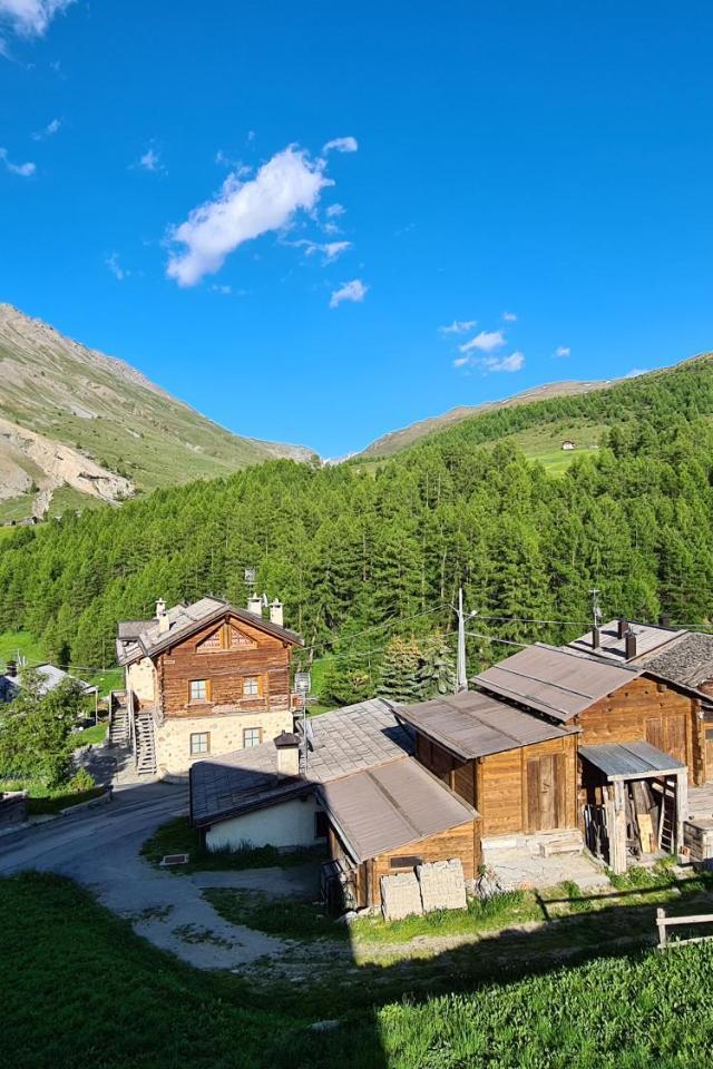 Apartment Il Nocciolo – billede 8