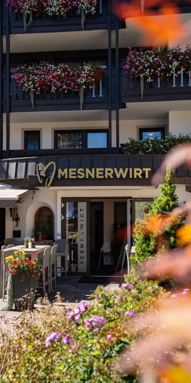 Mesnerwirt – billede 4