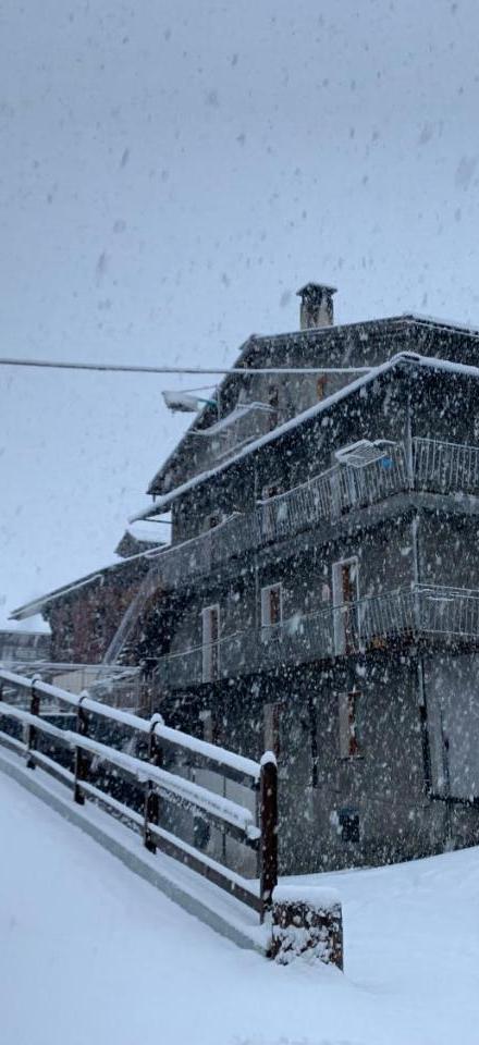 Pedrin's House (Adults Only) – billede 1
