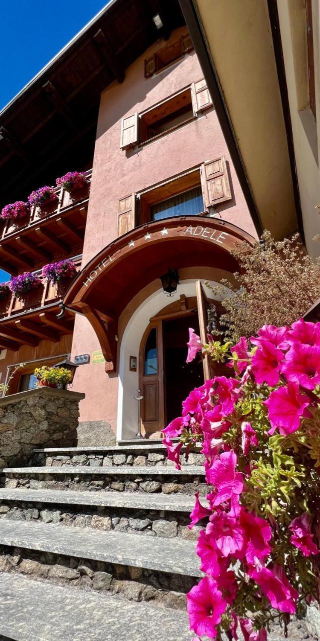 Hotel Adele – billede 2