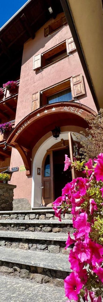 Hotel Adele – billede 2