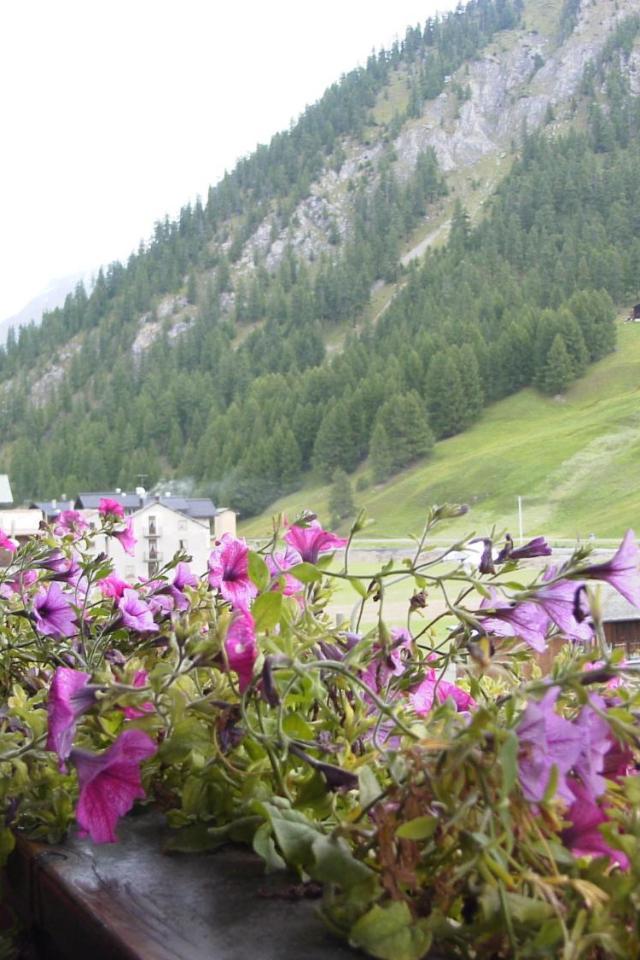 Hotel Adele – billede 9