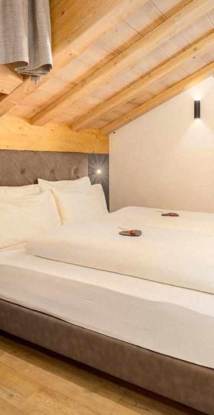 Chalet River Villa Genf SPA - Relax – billede 1