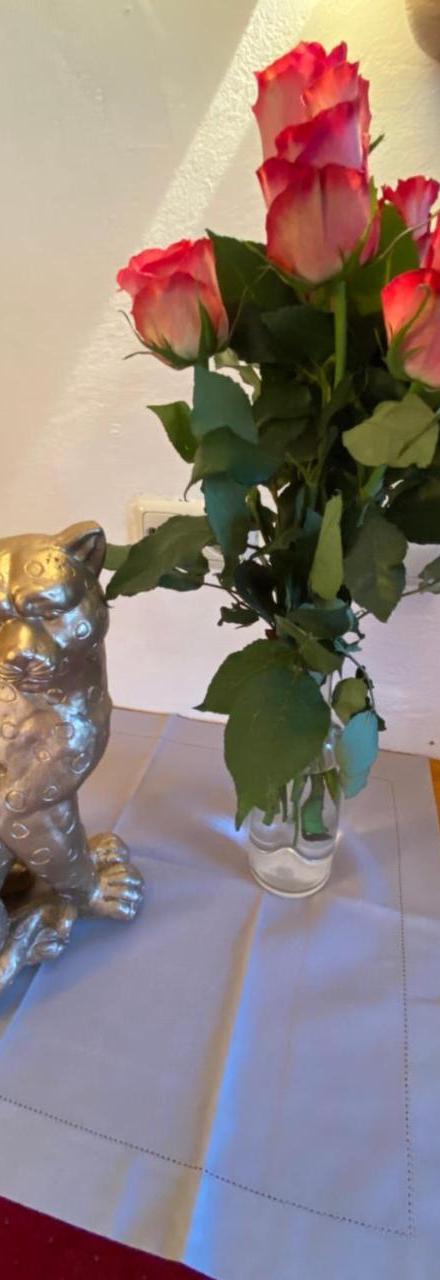 Hotel Panther'a – billede 3
