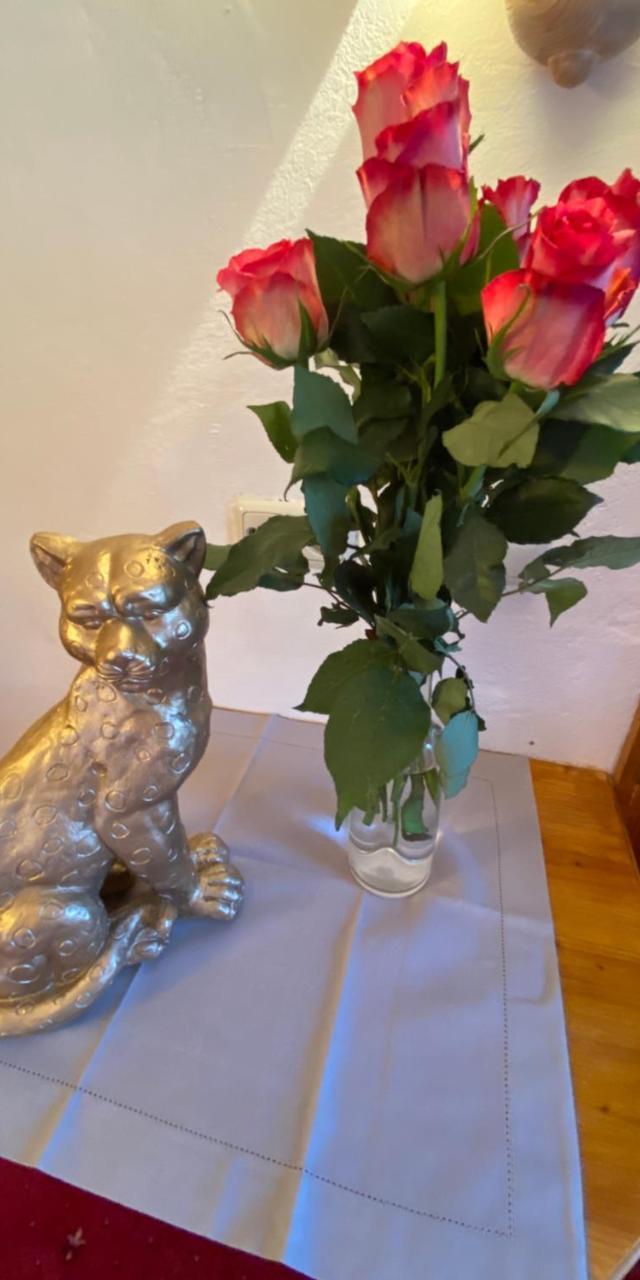 Hotel Panther'a – billede 3