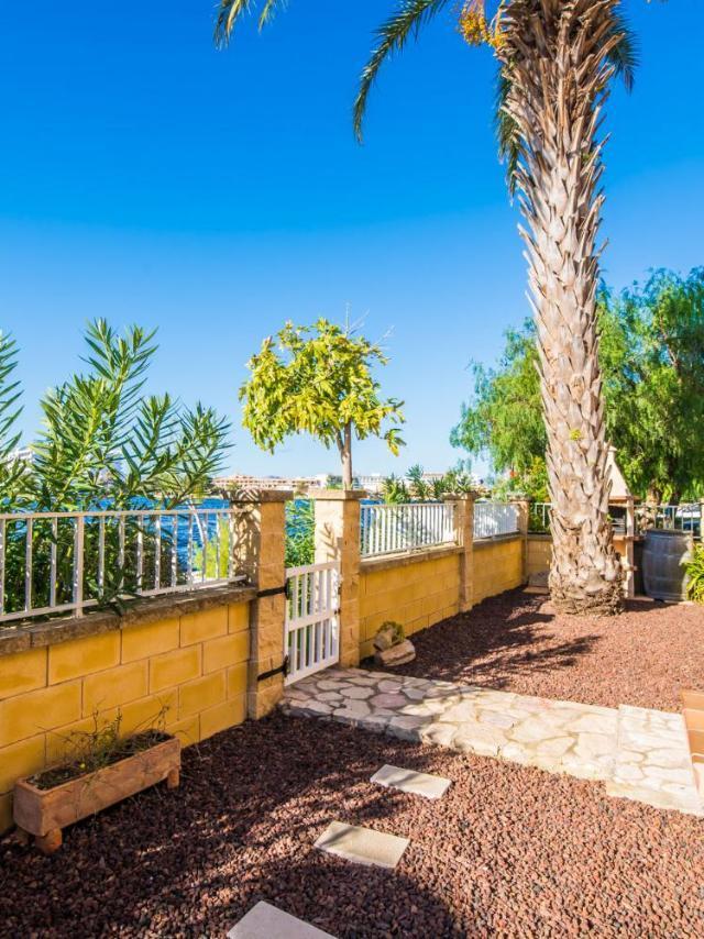 Ideal Property Mallorca - Lago Miguel – billede 3