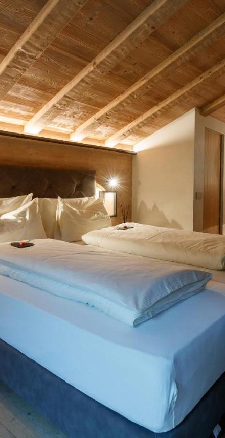 Chalet Ice Villa Genf SPA - Relax – billede 1