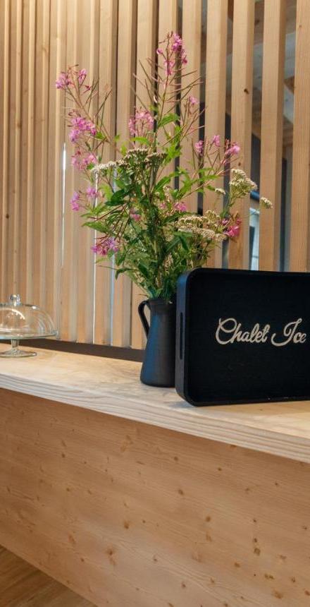 Chalet Ice Villa Genf SPA - Relax – billede 3