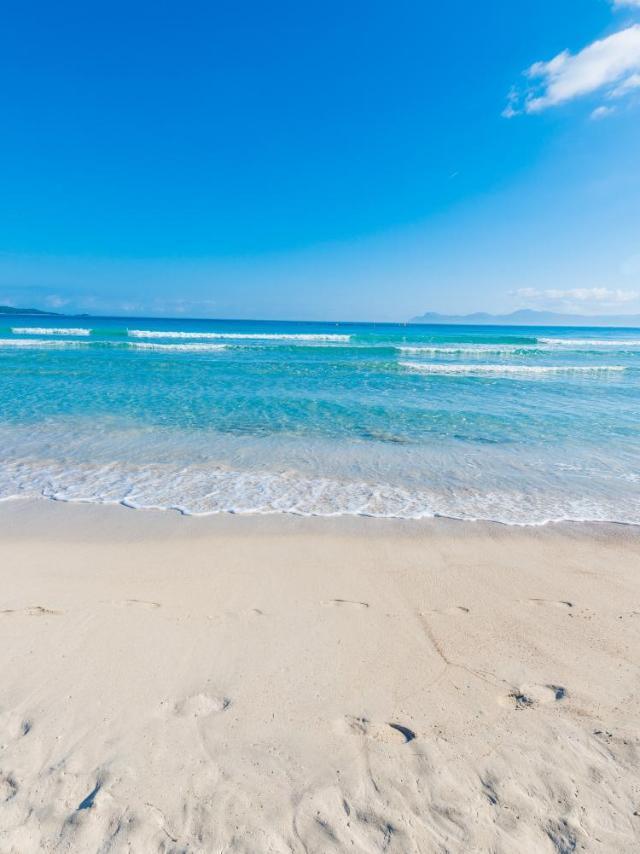 Sun of the Beach, Vacaciones En la Playa de Alcudia – billede 3