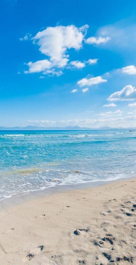 Sun of the Beach, Vacaciones En la Playa de Alcudia – billede 5
