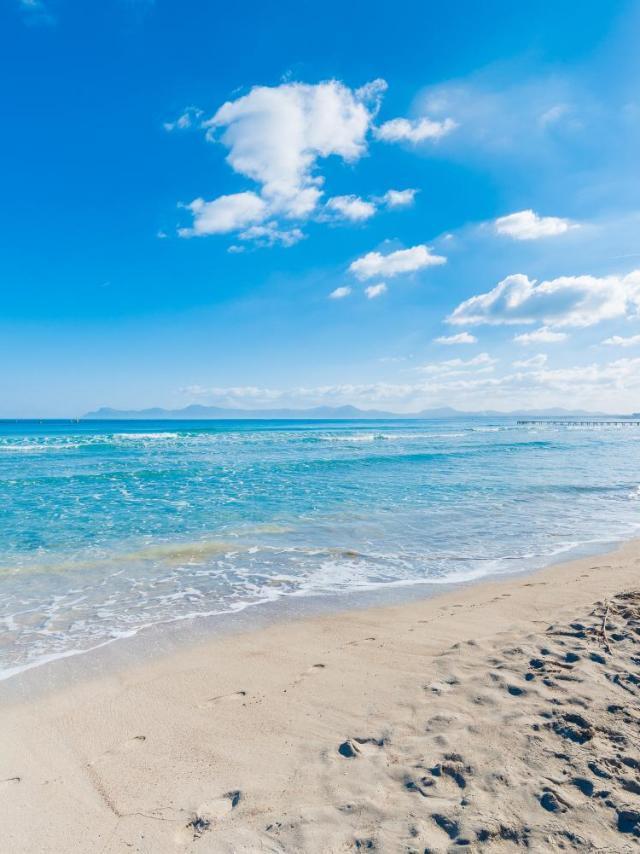 Sun of the Beach, Vacaciones En la Playa de Alcudia – billede 5