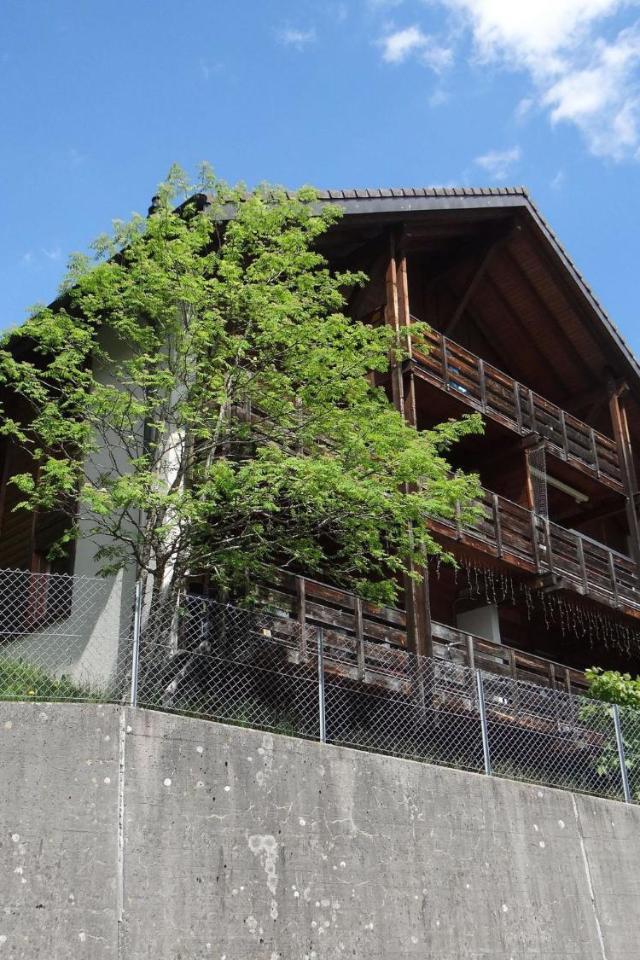 Apartment Fellenruti 81 by Interhome – billede 5