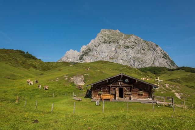 Appartement Lindner Hannes – billede 8