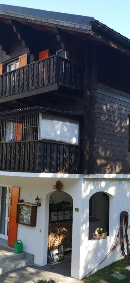 Chalet Delphin – billede 2