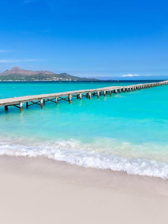 Villa Gallina Alcudia by Mallorca Villa Selection – billede 10