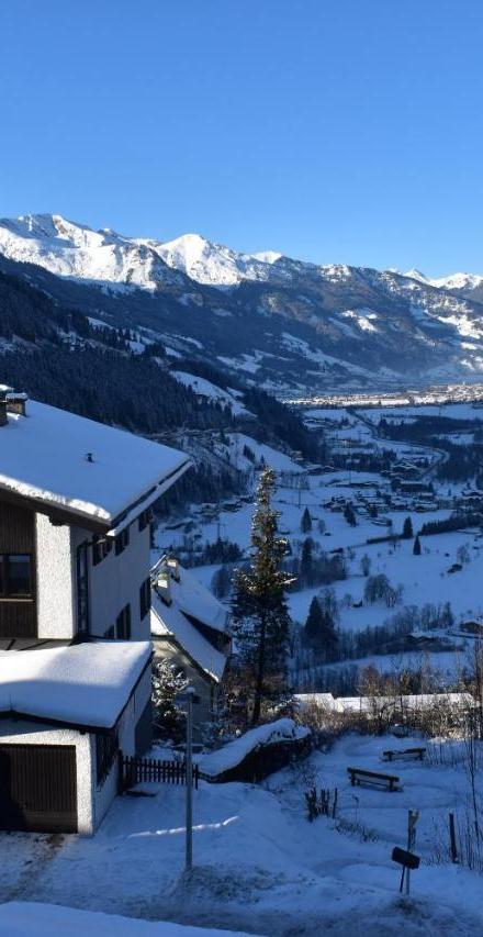 Ferienappartements Alpenwelt – billede 1