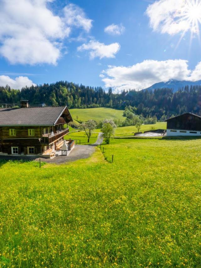 Großmutters Haus – billede 6