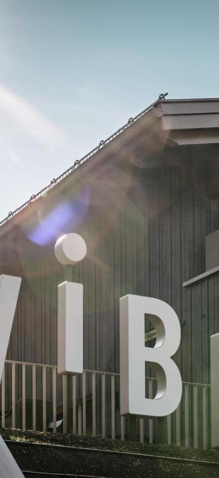 Pension Windau – billede 2