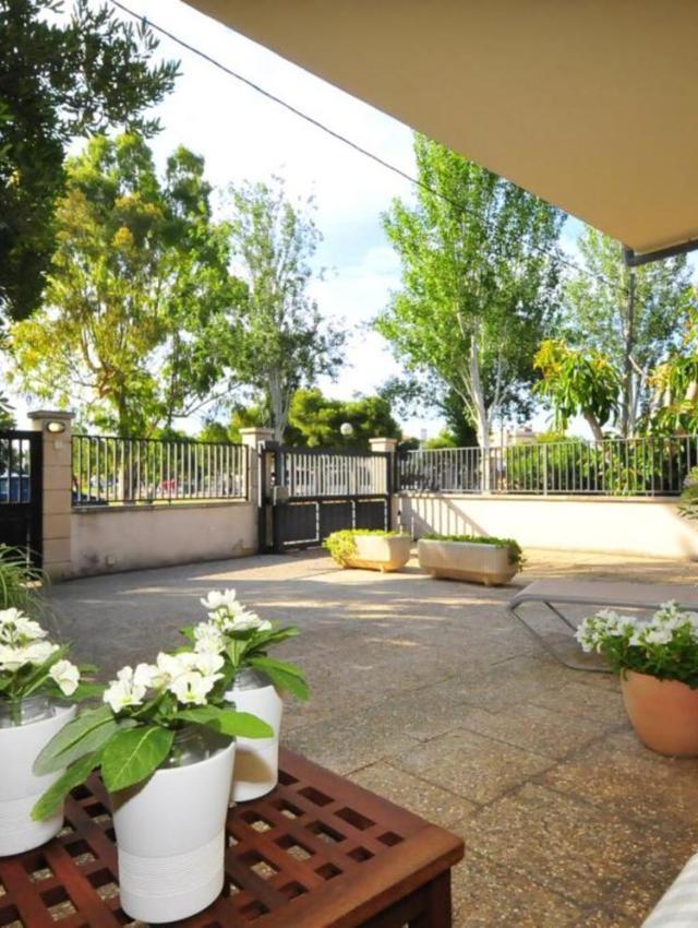 Cora – billede 3