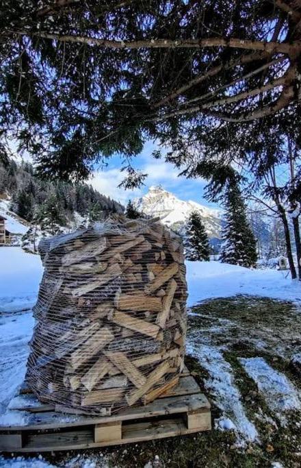 Cosy Chalet 87 in Engelberg with Spectacular Mountain And Lake Views – billede 5