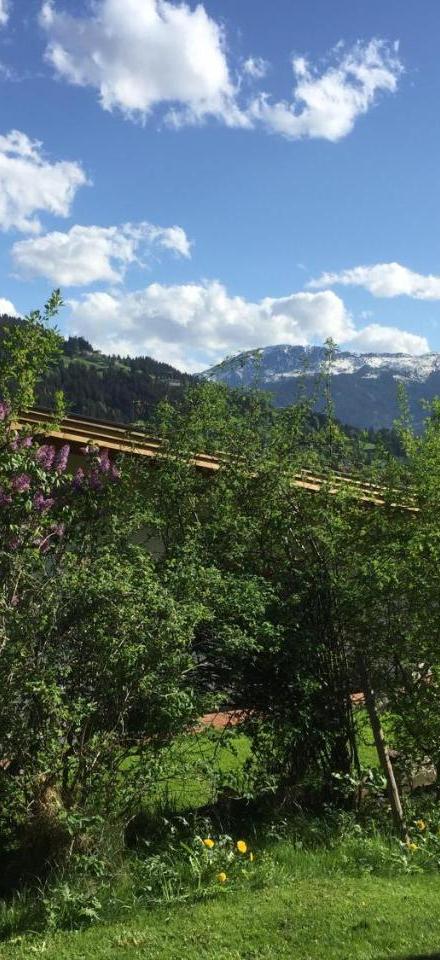 Latina, Brixental Tirol - Auch Im Sommer Wunderschon! – billede 3