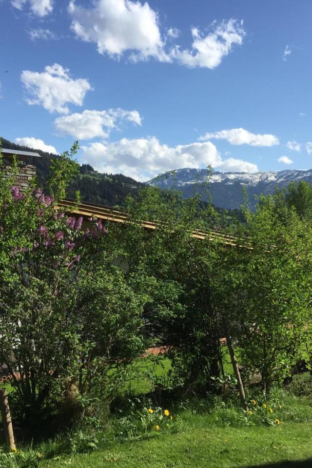 Latina, Brixental Tirol - Auch Im Sommer Wunderschon! – billede 3
