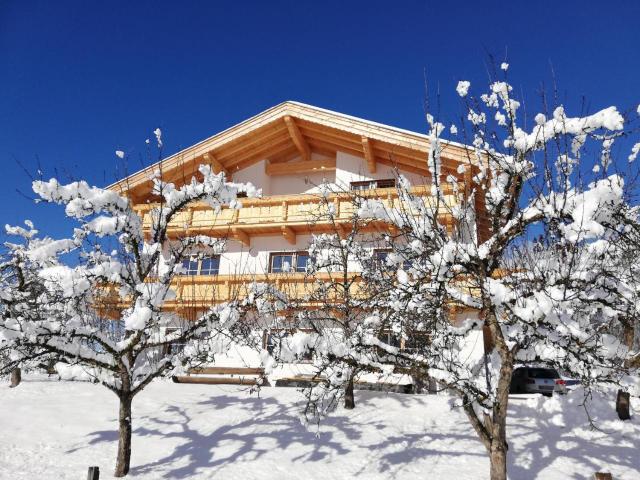 Appartements Hopfl – billede 3