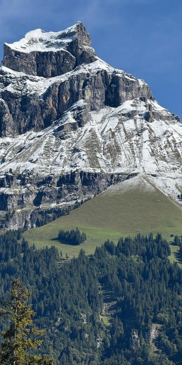 Alpine Nest Tiltlis, Garden, Central, Lucerne – billede 8