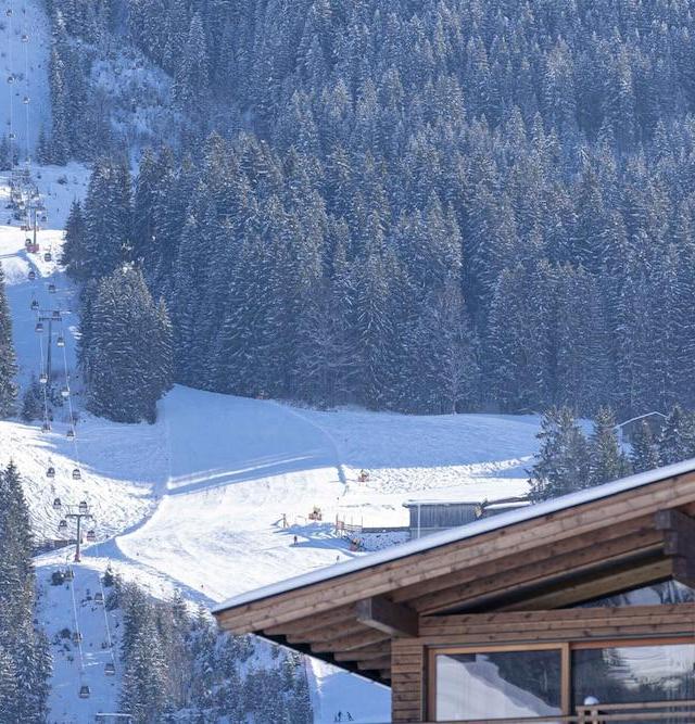 Penthouse in Tyrol with Infrared Sauna – billede 10