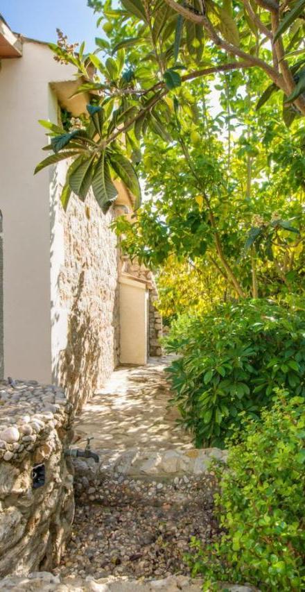 Ideal Property Mallorca - Can Olivo – billede 5