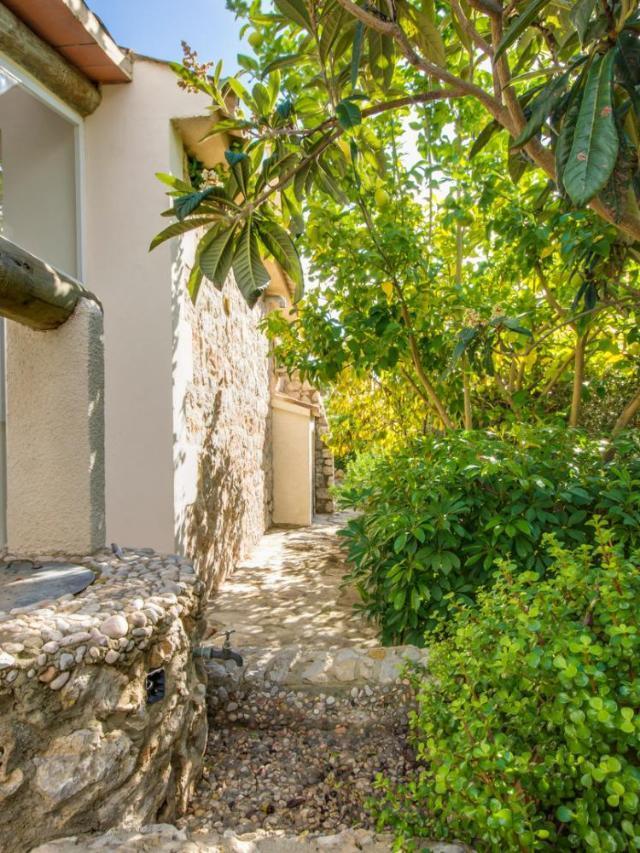 Ideal Property Mallorca - Can Olivo – billede 5