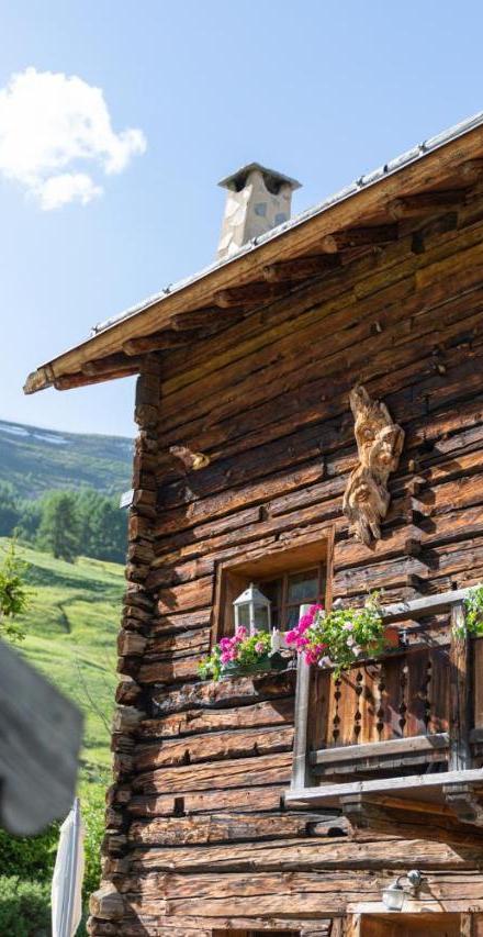 Chalet Mistral – billede 1