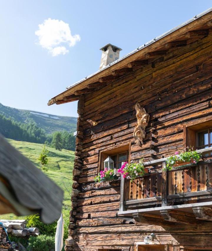 Apartment - Ground Floor (1 sofa bed) - Free WiFi – Chalet Mistral