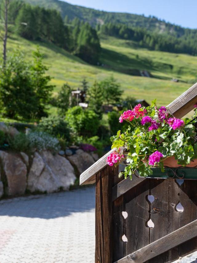 Chalet Mistral – billede 7