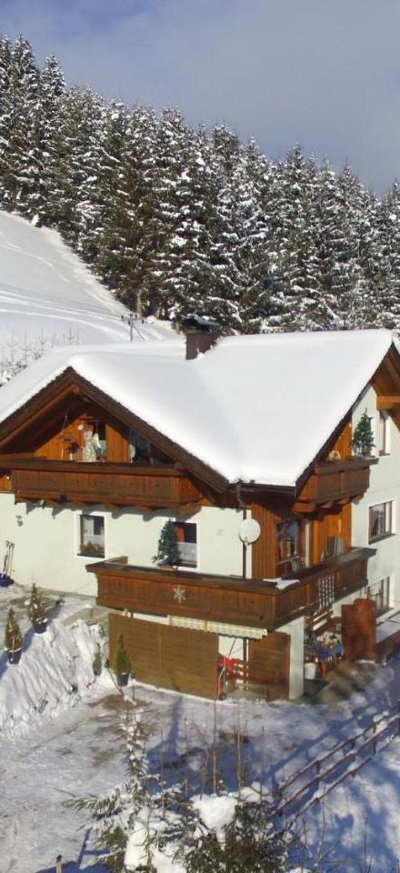 Apartment in Wagrain Near Ski Slopes – billede 2
