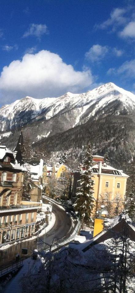 Executive Apartement Gastein – billede 2