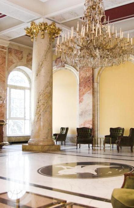 Executive Apartement Gastein – billede 5