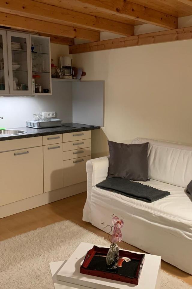 Executive Apartement Gastein – billede 10