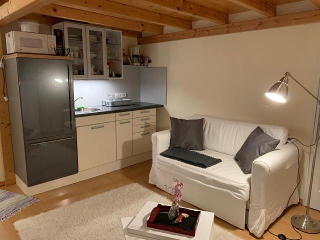 Executive Apartement Gastein – billede 10