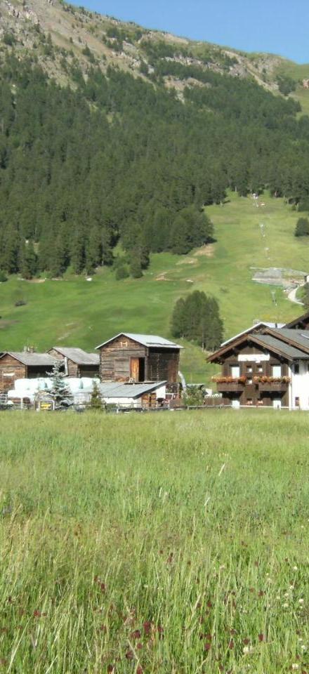Residence Nevegall – billede 2