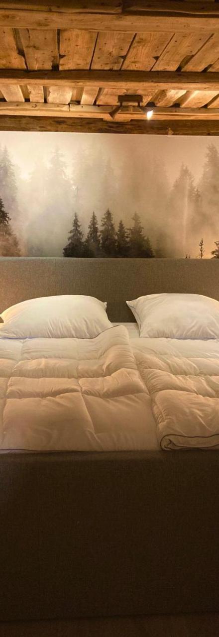 Chalet Sophie & Max in Bad Gastein – billede 2