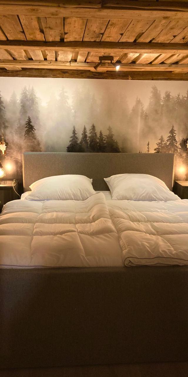 Chalet Sophie & Max in Bad Gastein – billede 2