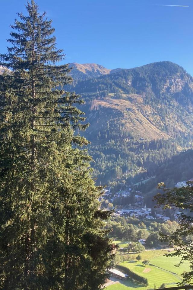 Chalet Sophie & Max in Bad Gastein – billede 10