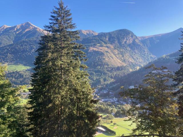 Chalet Sophie & Max in Bad Gastein – billede 10