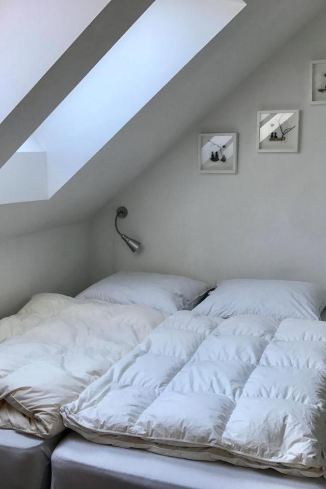 Top 601 Lothringen House – billede 2