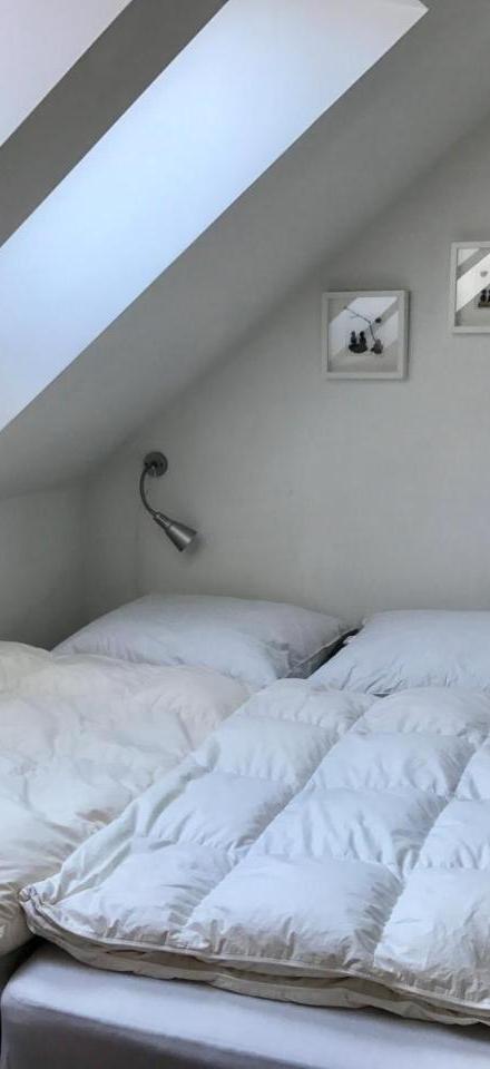 Top 601 Lothringen House – billede 2